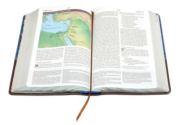 NIV The Woman's Study Bible, Imitation Leather, Blue and Brown