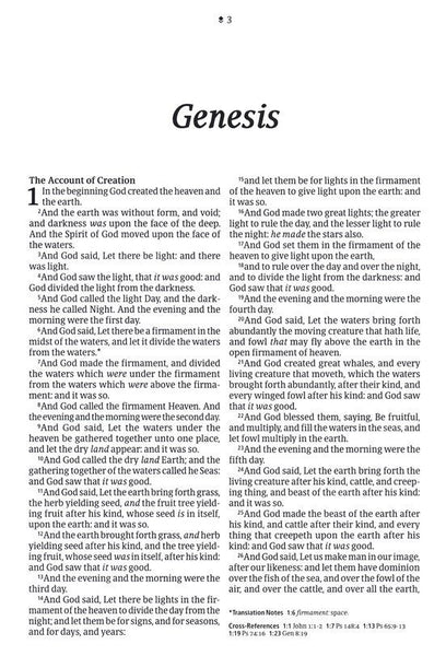 KJV Large-Print Thinline Reference Bible, Filament Enabled Edition, Leatherlike, Floral/Purple