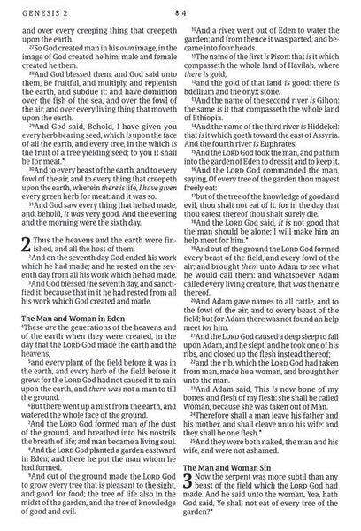 KJV Large-Print Thinline Reference Bible, Filament Enabled Edition, Leatherlike, Floral/Purple
