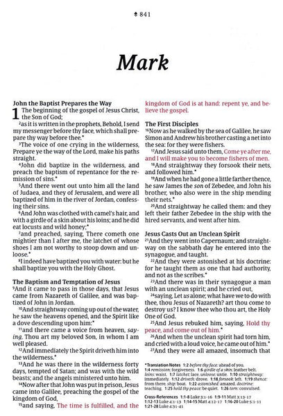 KJV Large-Print Thinline Reference Bible, Filament Enabled Edition, Leatherlike, Floral/Purple