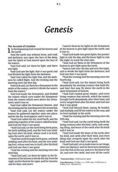 KJV Large-Print Thinline Reference Bible, Filament Enabled Edition, Leatherlike, Teal