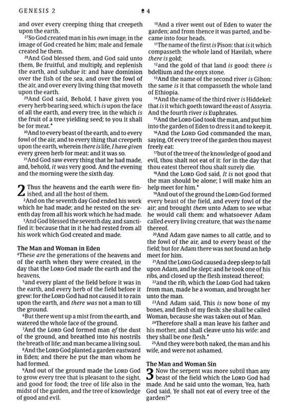 KJV Large-Print Thinline Reference Bible, Filament Enabled Edition, Leatherlike, Teal