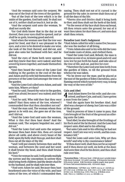 KJV Large-Print Thinline Reference Bible, Filament Enabled Edition, Leatherlike, Teal