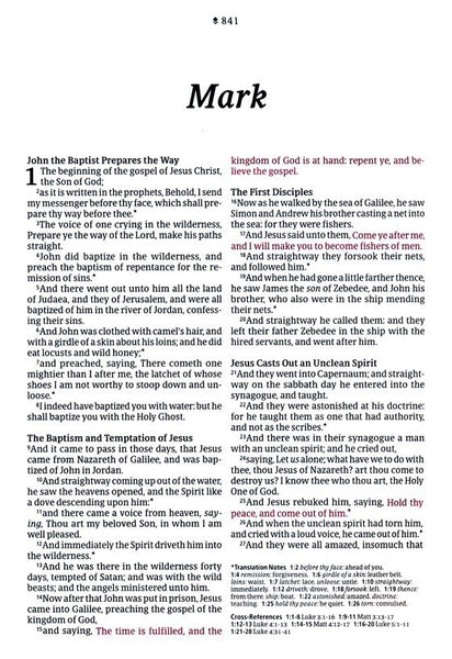 KJV Large-Print Thinline Reference Bible, Filament Enabled Edition, Leatherlike, Teal