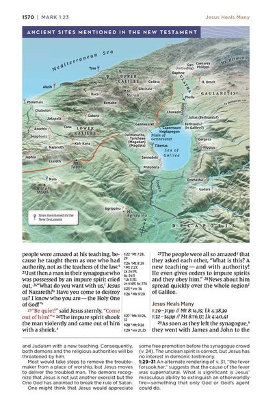NIV Application Bible, Personal Size, Comfort Print, Pink