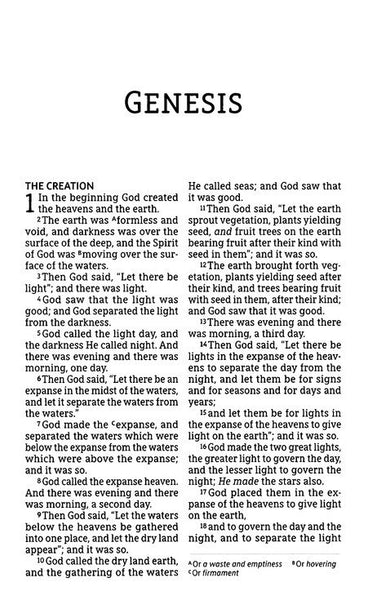 NASB Large Print Personal Size Bible, Leathersoft, Brown