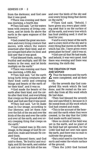 NASB Large Print Personal Size Bible, Leathersoft, Brown