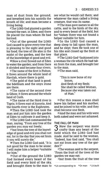 NASB Large Print Personal Size Bible, Leathersoft, Brown