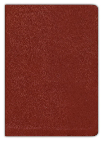 KJV Life Application Study Bible, Third Edition, Genuine Leather, Brown