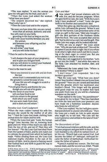 NLT Compact Bible, Filament-Enabled Edition, Holy Dusty Pink