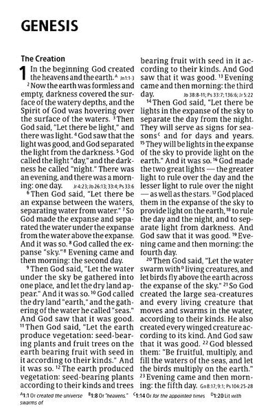 CSB Giant Print Reference Bible, Digital Study Edition, Leathertouch, Burnt Sienna