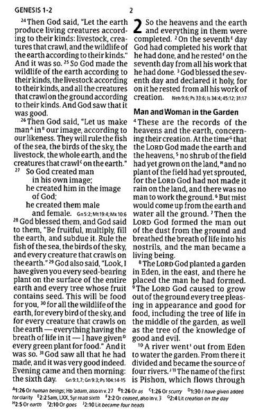 CSB Giant Print Reference Bible, Digital Study Edition, Leathertouch, Burnt Sienna