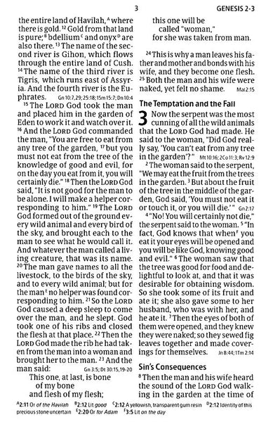 CSB Giant Print Reference Bible, Digital Study Edition, Leathertouch, Burnt Sienna