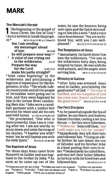 CSB Giant Print Reference Bible, Digital Study Edition, Leathertouch, Burnt Sienna