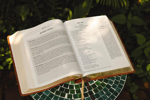 The Jesus Bible, ESV Edition, Tan