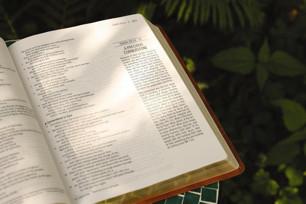 The Jesus Bible, ESV Edition, Tan