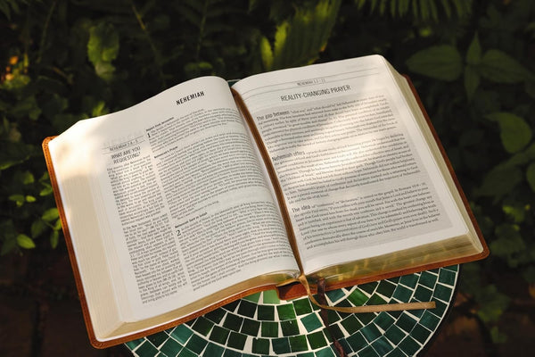 The Jesus Bible, ESV Edition, Tan