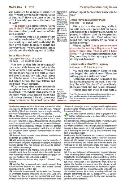 NIV Large-Print Study Bible, Fully Revised Edition, Brown, Red Letter