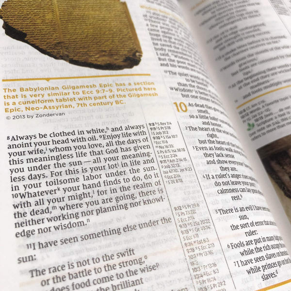 NIV Study Bible, Fully Revised Edition, Comfort Print, Teal/Gray, Leathersoft
