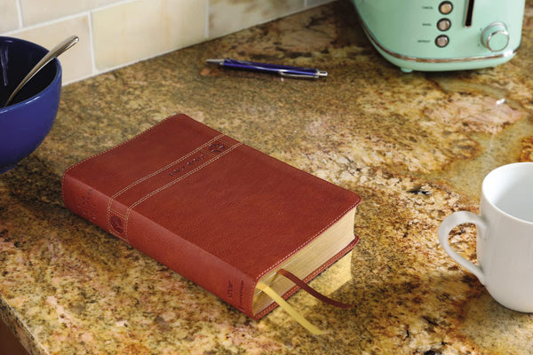 NIV Men's Devotional Bible, Brown, Leathersoft