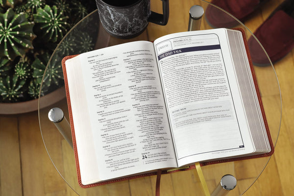 NIV Men's Devotional Bible, Brown, Leathersoft