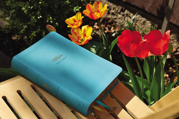 NIV Women's Devotional Bible Large Print, Teal, Leathersoft