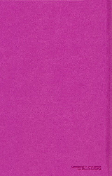 NIrV Tiny Theologians Bible Comfort Print-soft leather-look over board, Pink
