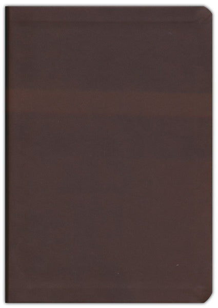 The Bible Recap 365-Day Chronological Study Bible: English Standard Version - Imitation Leather, Brown