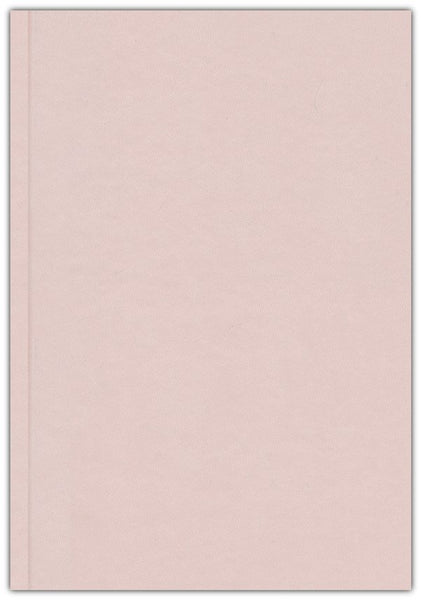 The Bible Recap 365-Day Chronological Study Bible: English Standard Version - Imitation Leather, Pink