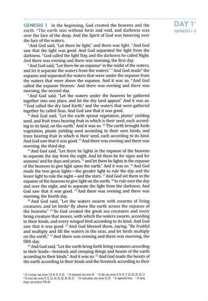 The Bible Recap 365-Day Chronological Study Bible: English Standard Version - Imitation Leather, Pink