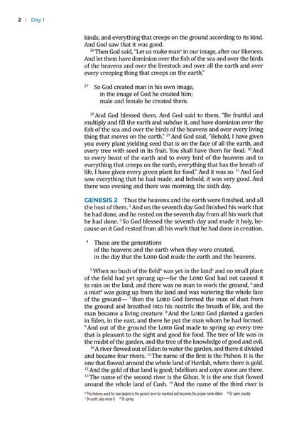 The Bible Recap 365-Day Chronological Study Bible: English Standard Version - Imitation Leather, Pink