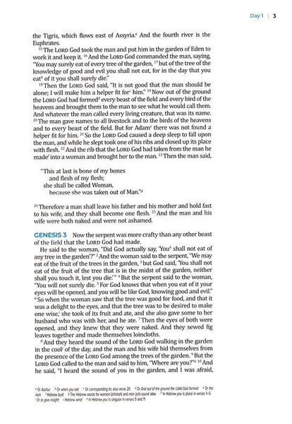 The Bible Recap 365-Day Chronological Study Bible: English Standard Version - Imitation Leather, Pink