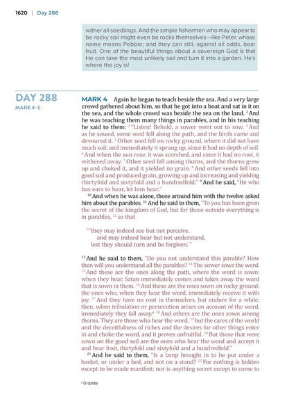 The Bible Recap 365-Day Chronological Study Bible: English Standard Version - Imitation Leather, Pink