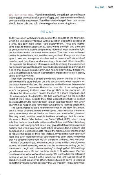 The Bible Recap 365-Day Chronological Study Bible: English Standard Version - Imitation Leather, Pink