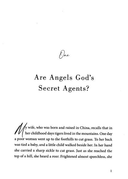 Angels : God's Secret Agents