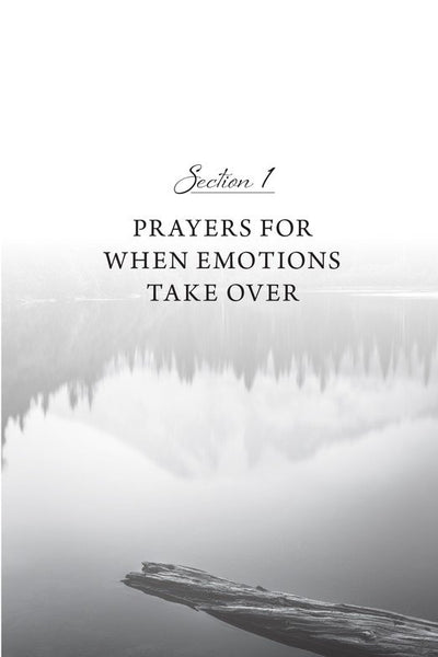When You Don't Know What to Pray: 100 Essential Prayers for Enduring Life's Storms