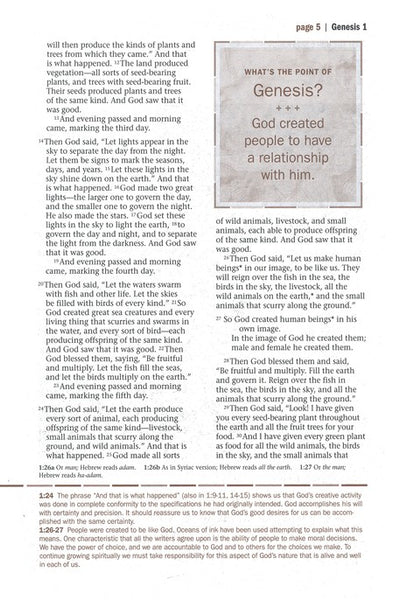 NLT Every Man's Bible Deluxe Messenger Edition, Leatherlike, Brown