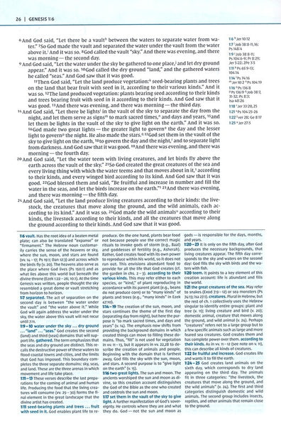 NIV Biblical Theology Study Bible, Black