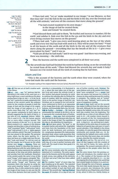 NIV Biblical Theology Study Bible, Black