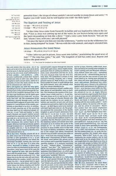 NIV Biblical Theology Study Bible, Black