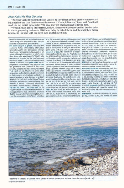 NIV Biblical Theology Study Bible, Black