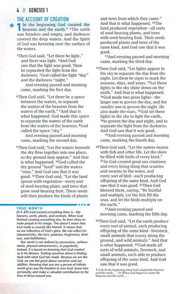 NLT Boys Life Application Study Bible, Blue Neon Glow