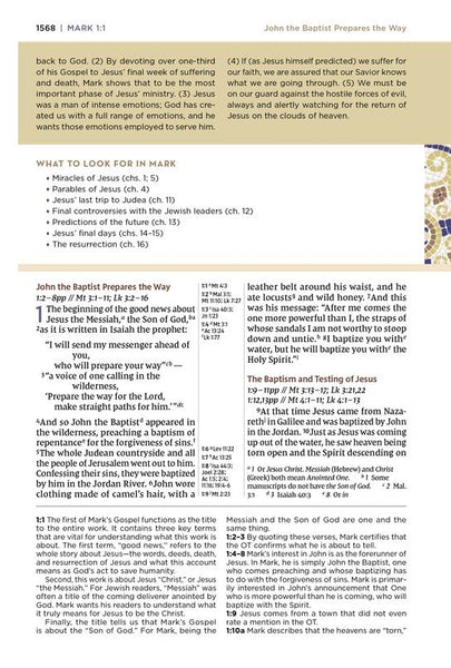 NIV Application Bible, Comfort Print, Brown