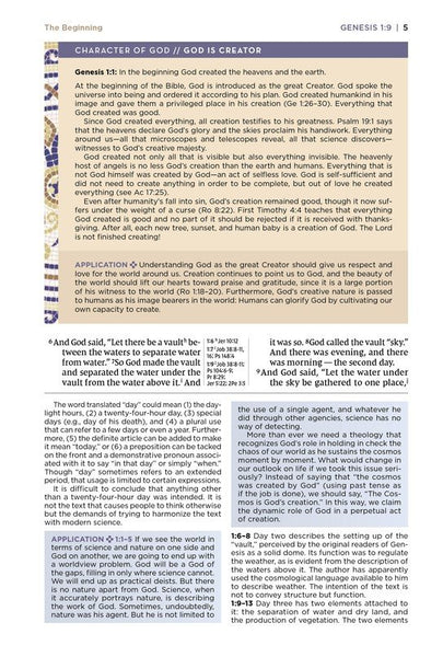 NIV Application Bible, Personal Size, Comfort Print, Brown/Blue