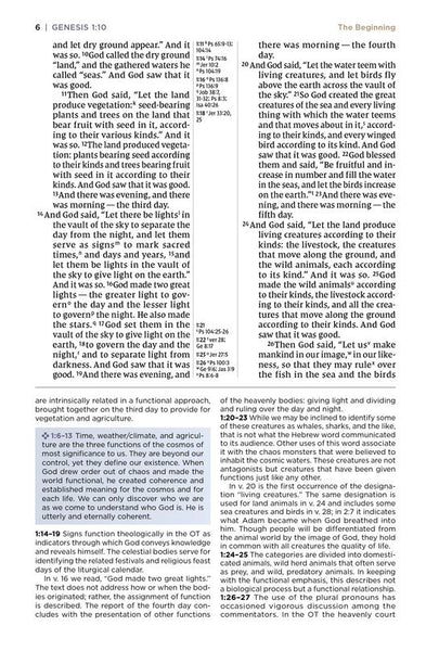 NIV Application Bible, Personal Size, Comfort Print, Brown/Blue