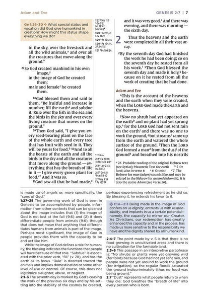 NIV Application Bible, Personal Size, Comfort Print, Brown/Blue
