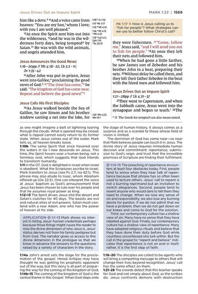 NIV Application Bible, Personal Size, Comfort Print, Brown/Blue