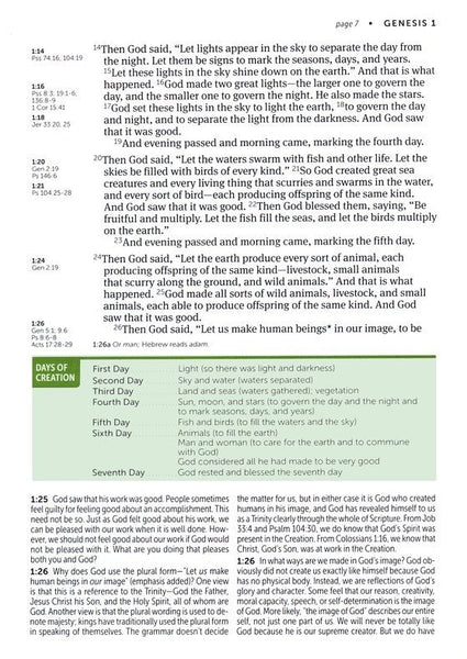 NLT Life Application Large-Print Study Bible, Third Edition, LeatherLike, Meadow Teal