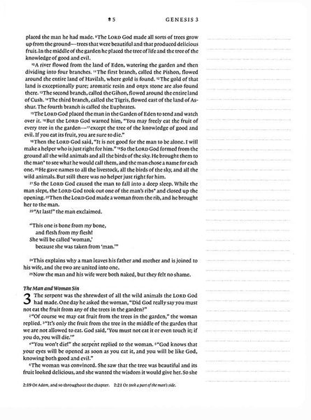 NLT Wide Margin Bible, Filament-Enabled Edition, Dusty Pink Blossoms