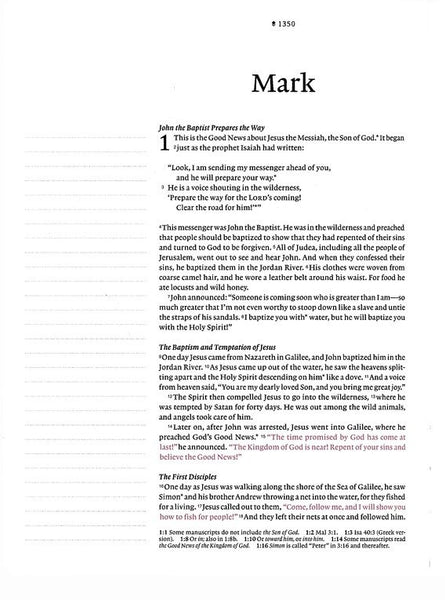 NLT Wide Margin Bible, Filament-Enabled Edition, Dusty Pink Blossoms